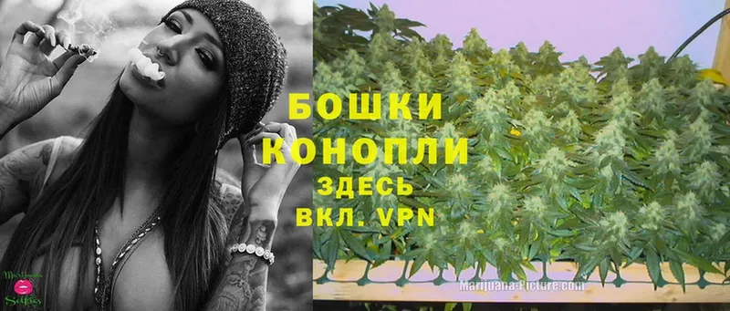 закладки  Ковылкино  Канабис Ganja 